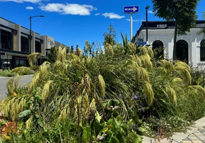 Intersection concerns spark action