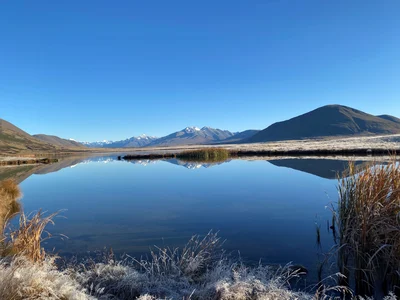 SNAs left out of biodiversity strategy