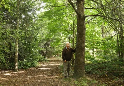 Reflecting on a leafy legacy