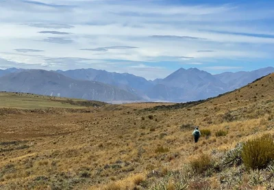 A summer of (mostly) sensible hut bagging
