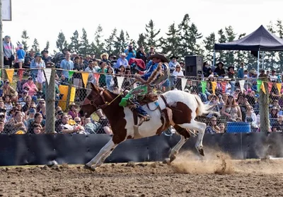 Methven saddles up