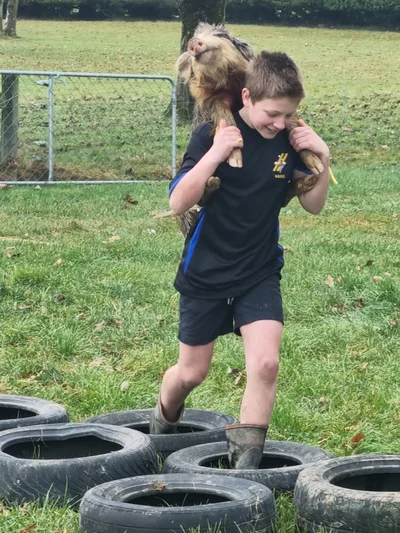 Cats back at hunting competition