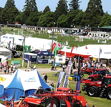 Canty axed, Ashburton show full steam ahead