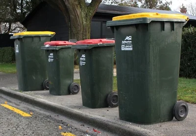 How much green goes in the red bin?