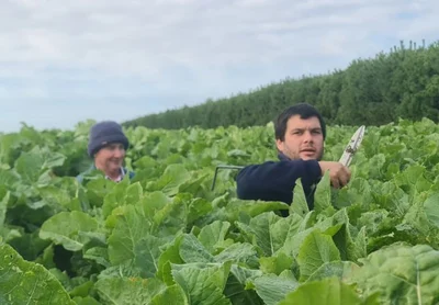 First-time entrants find success