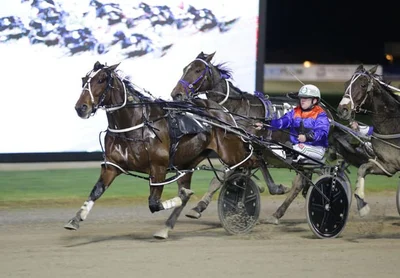 American Me bursts into Auckland Cup contention