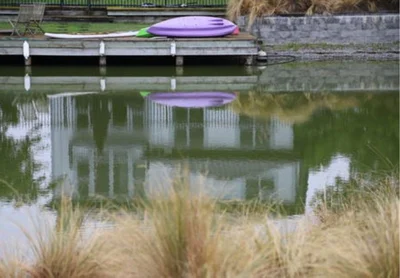 Health Warning lifted for Algal Bloom in Lake Hood