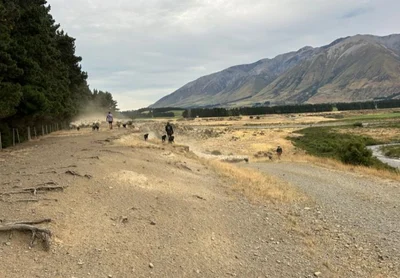 Drought a learning opportunity