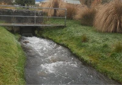 More TLC for Mt Harding Creek