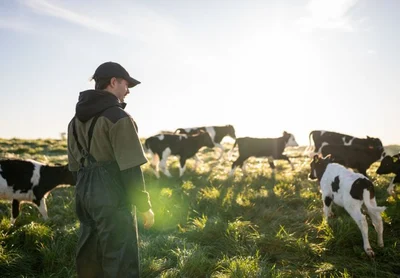 The stealthy disease affecting rural NZ