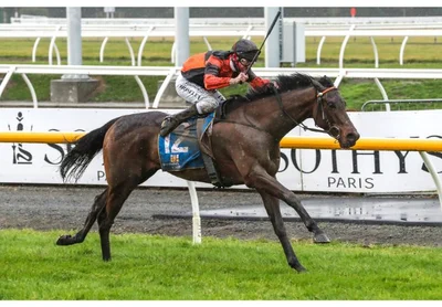 Lord Darci looking to turn back the clock in Winter Cup