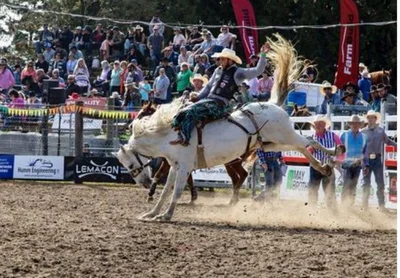Almost time to horse around