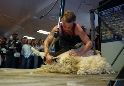 A night of shear talent