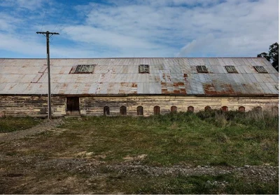 Celebrating iconic NZ woolsheds
