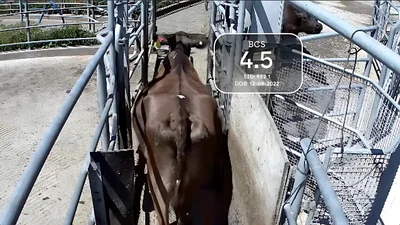 “Eye in the sky” coming to field days