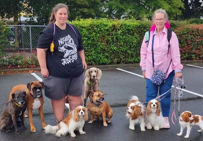 Ashburton's Paw Patrol