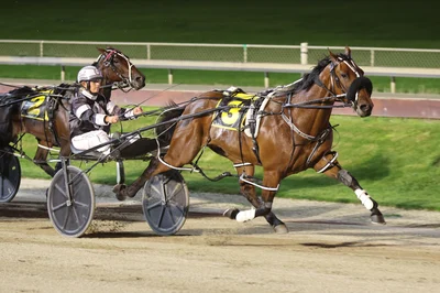 Methven draws huge fields