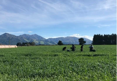 Farmers encouraged to show what they grow
