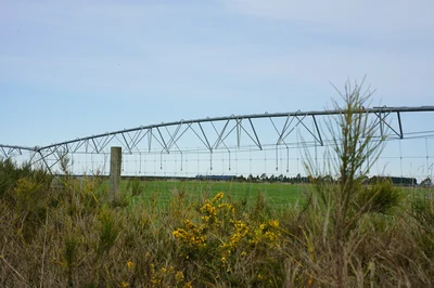 Second irrigator taken to court