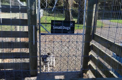 Just bark off