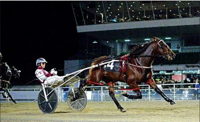 Trots set to be a cracker