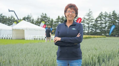 ‘Little arable 
sector’ recognition