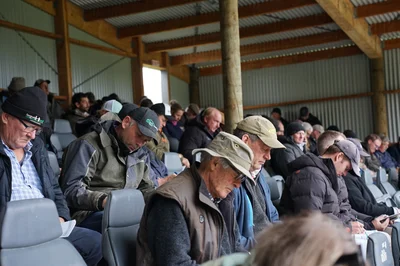 Heifer charity sale raises $7500