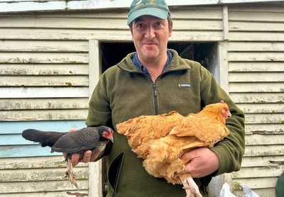 Pecking order starts at home