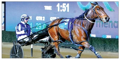 Kiwis outclass at Menangle