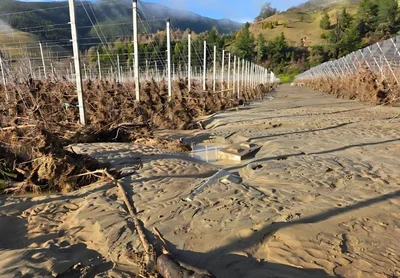 Nelson Tasman: still in response mode