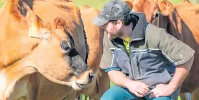 Milking laughs not just cows