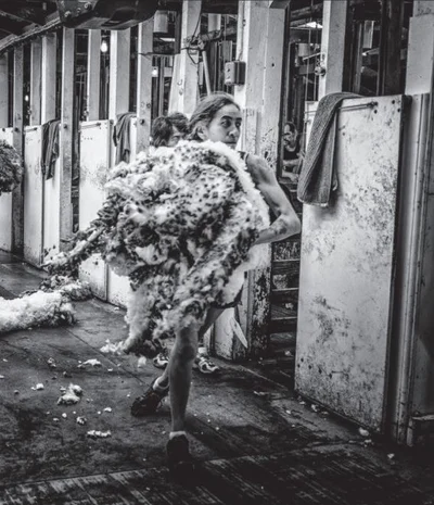 Shearing whānau mourn Nanny Dee