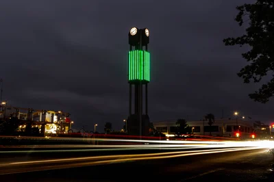 News In brief: Clock tower lights, Rakaia Salmon, and dogs