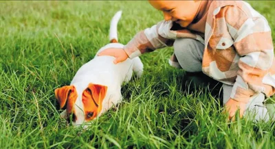 Pets, germs and allergy clues