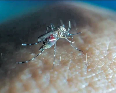 Double dose of dengue misery