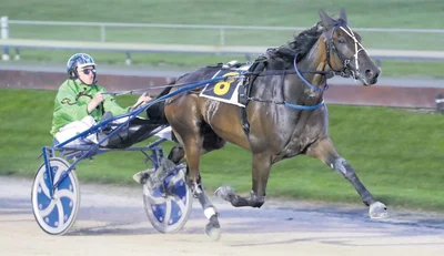 Chasing a NZ Cup start