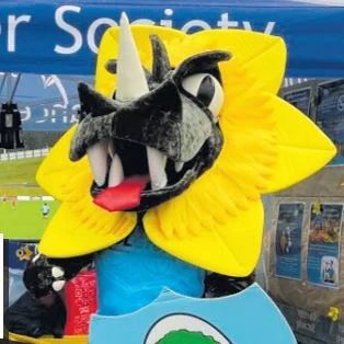 Urgent call behind Daffodil Day
