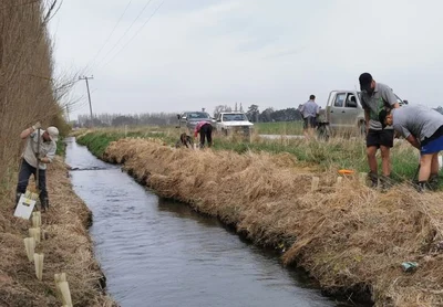 Ashburton to push back on water committee structure