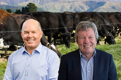 Cash splash for dairy farmers