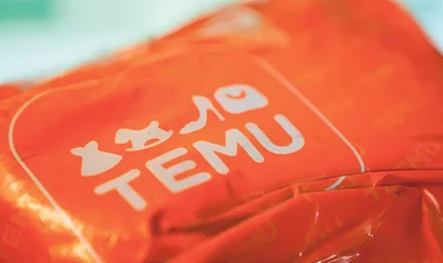 Some Temu toys fail safety tests