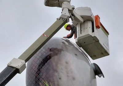 Hook, line and crane: Catching Rakaia's Salmon for a makeover
