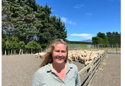 What makes a good ram-buying decision?