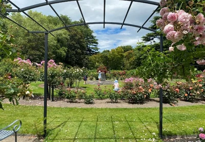 Ashburton Domain receives four-star rating for garden