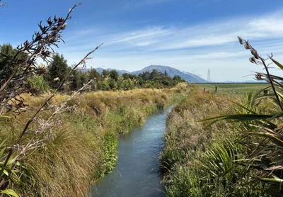 Stockwater exit sparks debate over creek flows