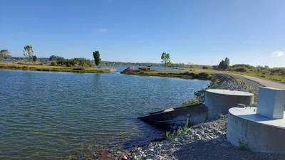 Toxic algae levels double as scientists return to Lake Hood