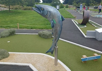 A tale of two fish: Rakaia's big salmon restored, mini one bruised