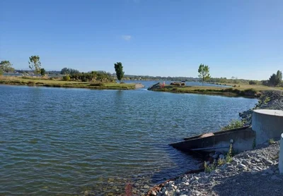 Lake Hood algae problem returns for fourth straight summer