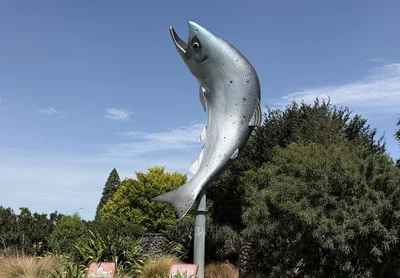 Council won’t take the bait on naming Rakaia’s big fish