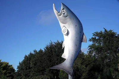Man charged with vandalism of Rakaia Salmon statue