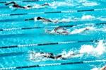 Ashburton swimmers bring home swag of medals